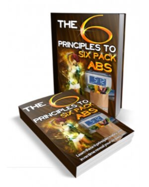 The 6 Principles To Six Pack Abs